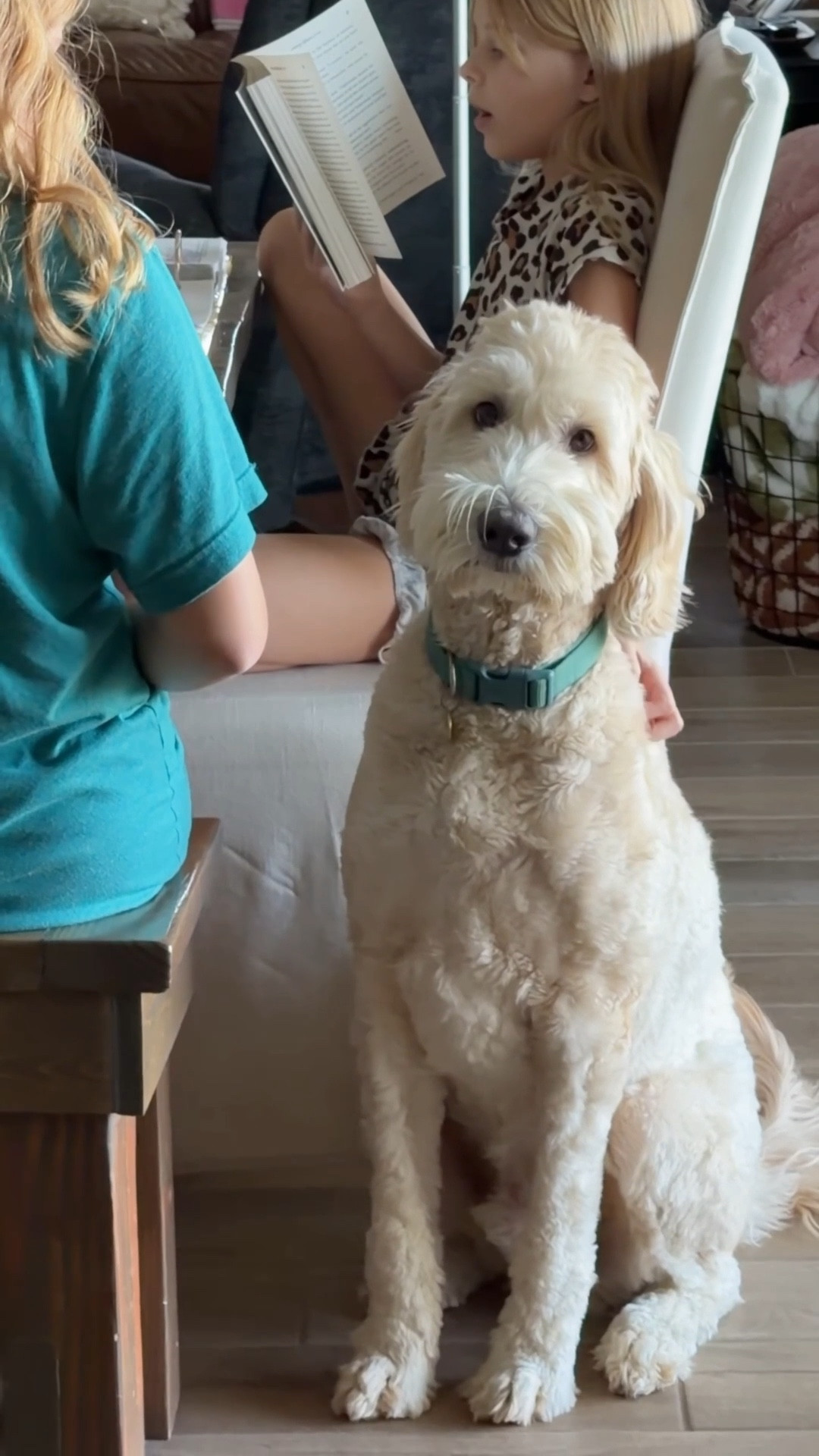 wearing size small in my outfit!

#LTKPetite #LTKootd #LTKmorningroutine