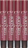 Burt's Bees Lip Balm Stocking Stuffer, Moisturizing Lip Shimmer Holiday Gift for Women, with Vita... | Amazon (US)
