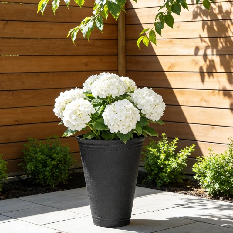 My Texas House | Walmart (US)