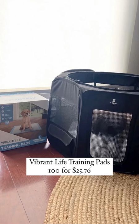 Pee pads are essential and $25.76 for 100 pads are a great value. #sponsored @Walmart Ralphie drinks tons of water and he pees a lot (polyuria is the medical term) - both symptoms of CKD. I often have him go on the pads in his designated indoor potty area before we go on walks otherwise he will mark up the neighborhood with epic puddles or long squiggles of pee mail. 

Shih Tzu Dog mom

#LTKunder50 #LTKunder100