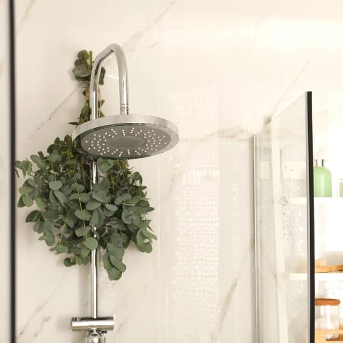 Fresh Shower Eucalyptus Bundle | 100% Natural and Freshly Cut Shower Bunch | Beautiful Eucalyptus... | Amazon (US)