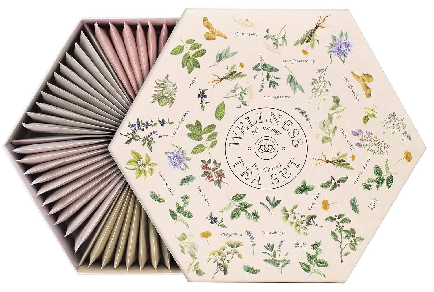 ACORUS | Wellness Tea Set | Natural Assorted Tea Hamper Box Gift Set | Herbal Tea | Large Selecti... | Amazon (US)