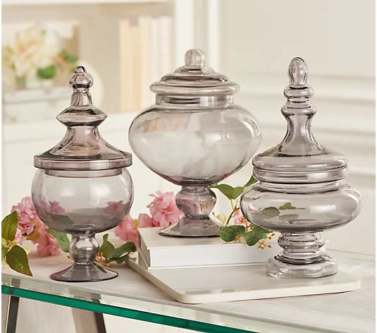 BFF Collection Set of 3 Assorted Glass Apothecary Decor Jars - QVC.com | QVC