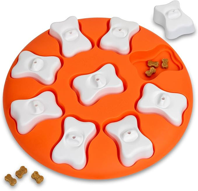Outward Hound by Nina Ottosson Dog Smart Treat Puzzle Enrichment Toy, Level 1 Beginner, Orange | Amazon (US)