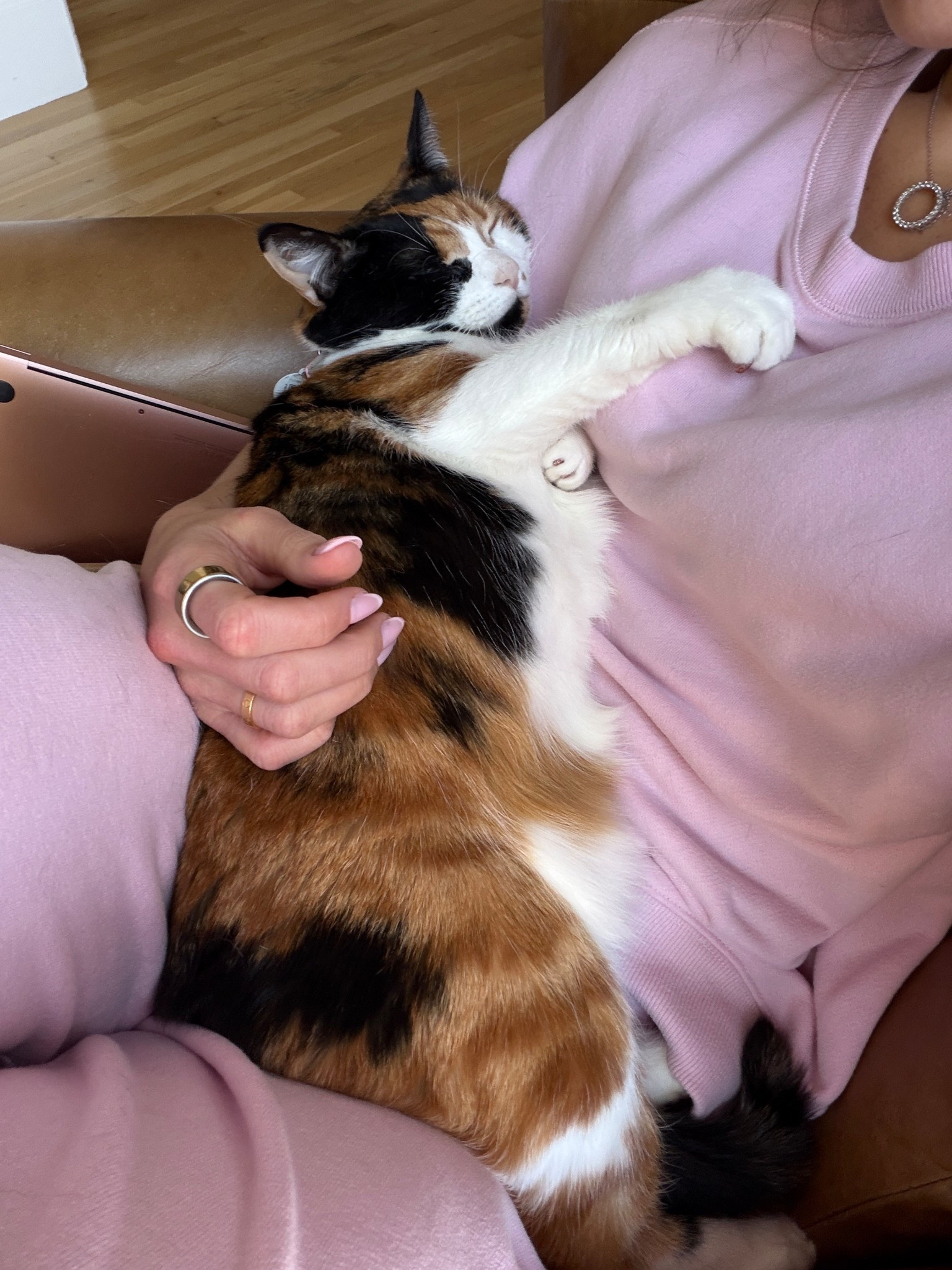 Linking my pink sweatsuit from Abercrombie. I sized up to a size medium so that it would fit super oversized. ￼