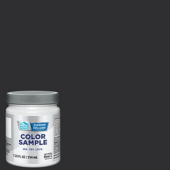 HGTV HOME by Sherwin-Williams Tricorn Black Hgsw1441 Paint Sample (Half-Pint) | Lowe's