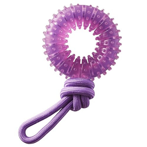 Outward Hound 2-in-1 Dental Chew Wheel Dog Chew Toy and Tug Toy, Purple | Amazon (US)