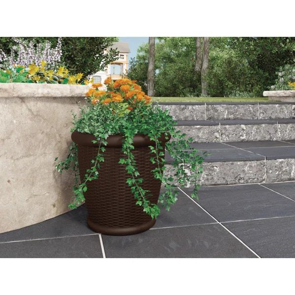 Willow 2-Piece Resin Pot Planter Set | Wayfair Professional
