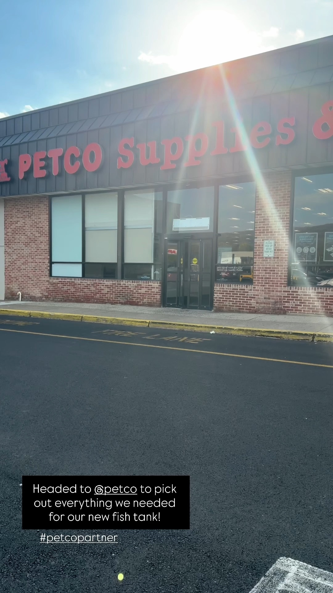 What’s one more living thing to take care of!😅🩷 Petco has everything you need for any new pet! From fish to dogs they have what you need! #petcopartner #ad @petco 