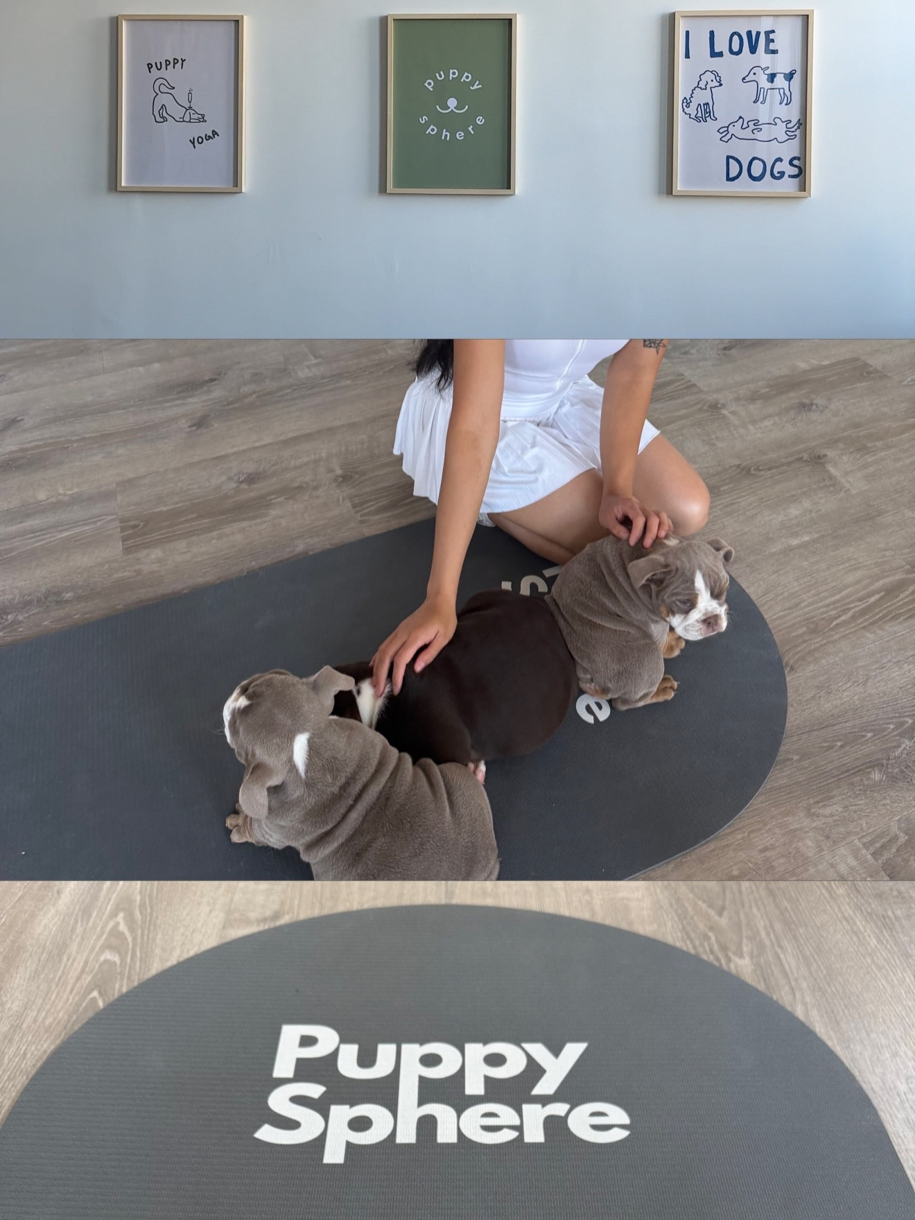 if it involves puppies, I’m there 🐶 🧘🏻‍♀️ 🐾

#LTKdayinmylife #LTKActive