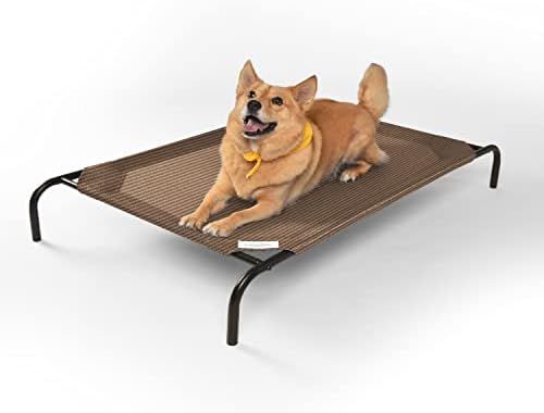 Coolaroo The Original Cooling Elevated Pet Bed | Amazon (US)