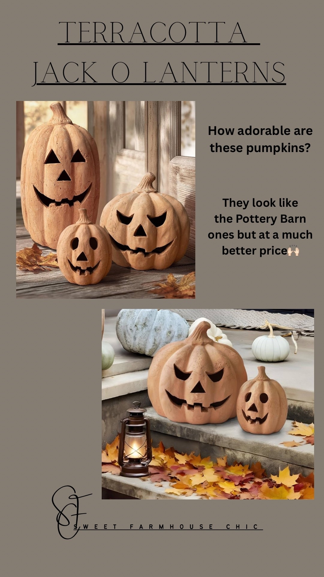 TERRACOTTA  JACK O LANTERNS!!
These look almost identical to the Pottery Barn pumpkins…without the price tag. They are super cute🎃

#LTKSeasonal #LTKHome #LTKFindsUnder100