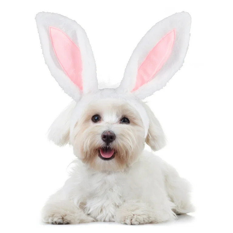 Bunny Ears Pet Headband Cute Dog Rabbit Ears Headwear Pet Headdress for Easter | Walmart (US)