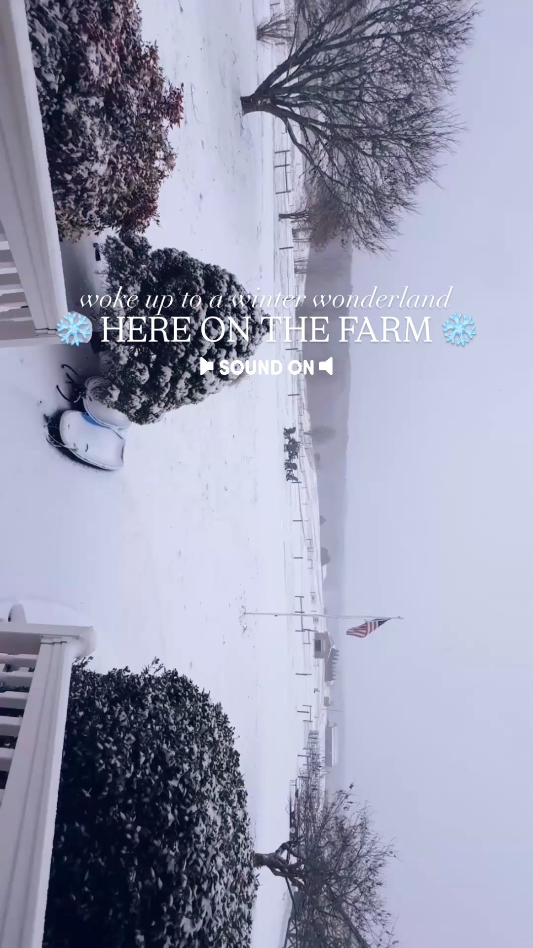 Woke up to a winter wonderland here on the farm this morning ❄️☃️🌨️