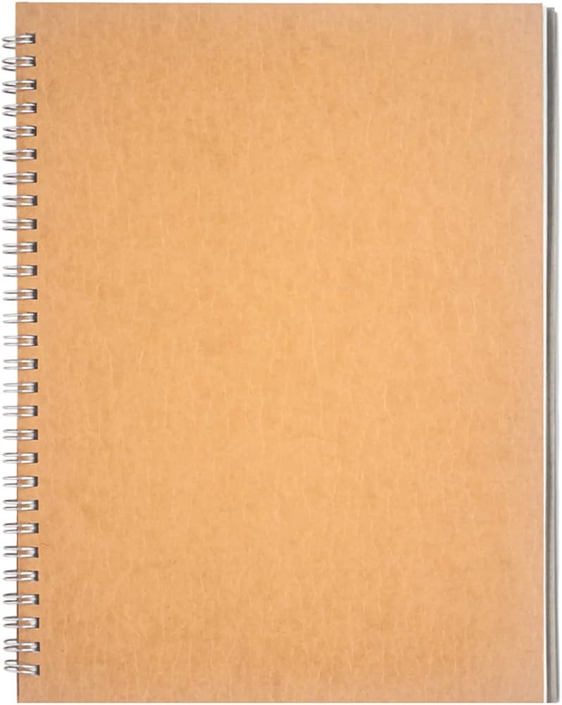 DSTELIN 10 inch x 7.5 inch, 100GSM, Blank Spiral Notebook, 1-Pack, Soft Cover, Sketch book, 100 P... | Amazon (US)