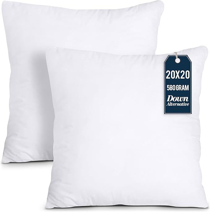 Utopia Bedding Throw Pillows Insert (Pack of 2, White) - 20 x 20 Inches Bed and Couch Pillows - I... | Amazon (US)