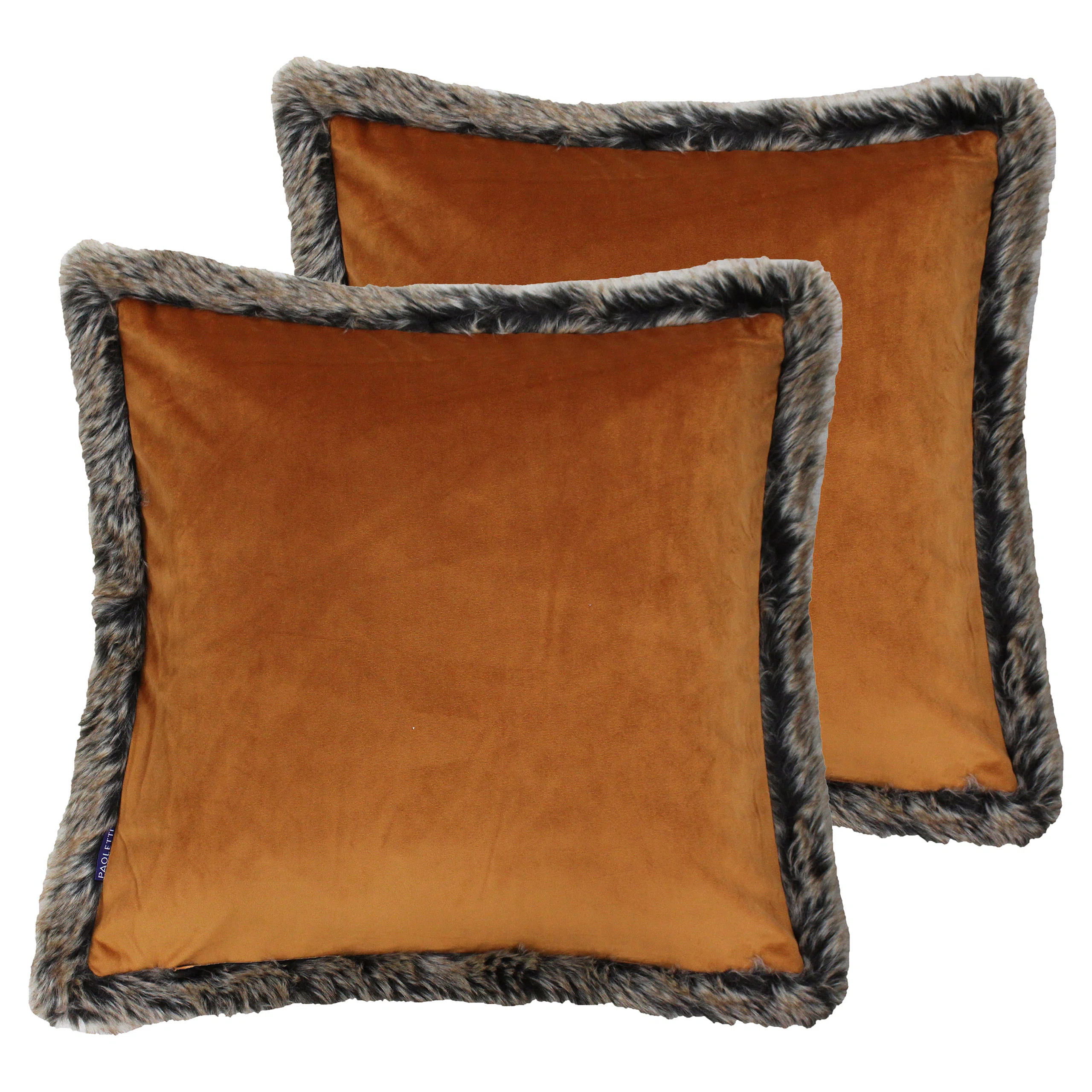 Square Throw Cushion (Set of 2) | Wayfair UK