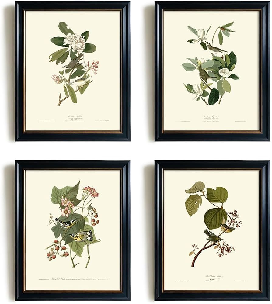 French Country Vintage Hummingbird Bird Wall Art for Living Room, Farmhouse Cottagecore Audubon S... | Amazon (US)