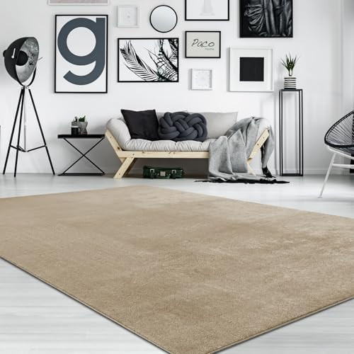Paco Home Soft Area Rug in Brown Beige Cozy Rug Anti-Slip Solid Color Washable, Size: 9'10" x 13'... | Amazon (US)