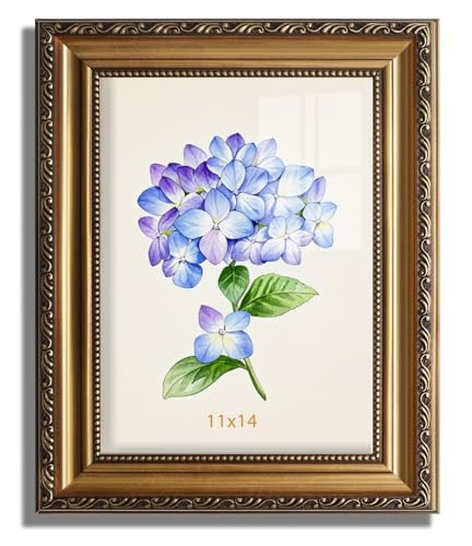 11×14 Picture Frame, 11x14 Gold Picture Frames for Wall Hanging or Tabletop Display, Ornate Antique Photo Frames for Wall Art and Prints, Gold Vintage Picture Frames | Amazon (US)