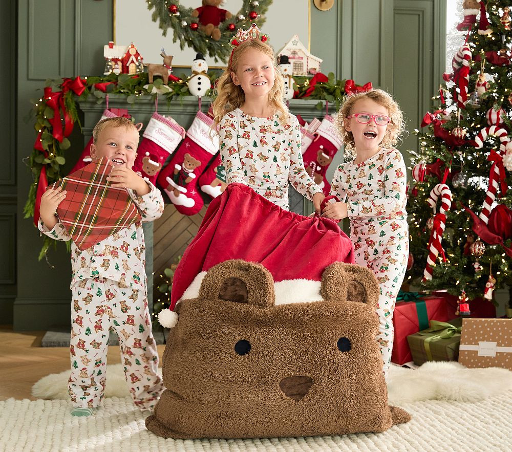 Teddy Bear Santa Bag | Pottery Barn Kids