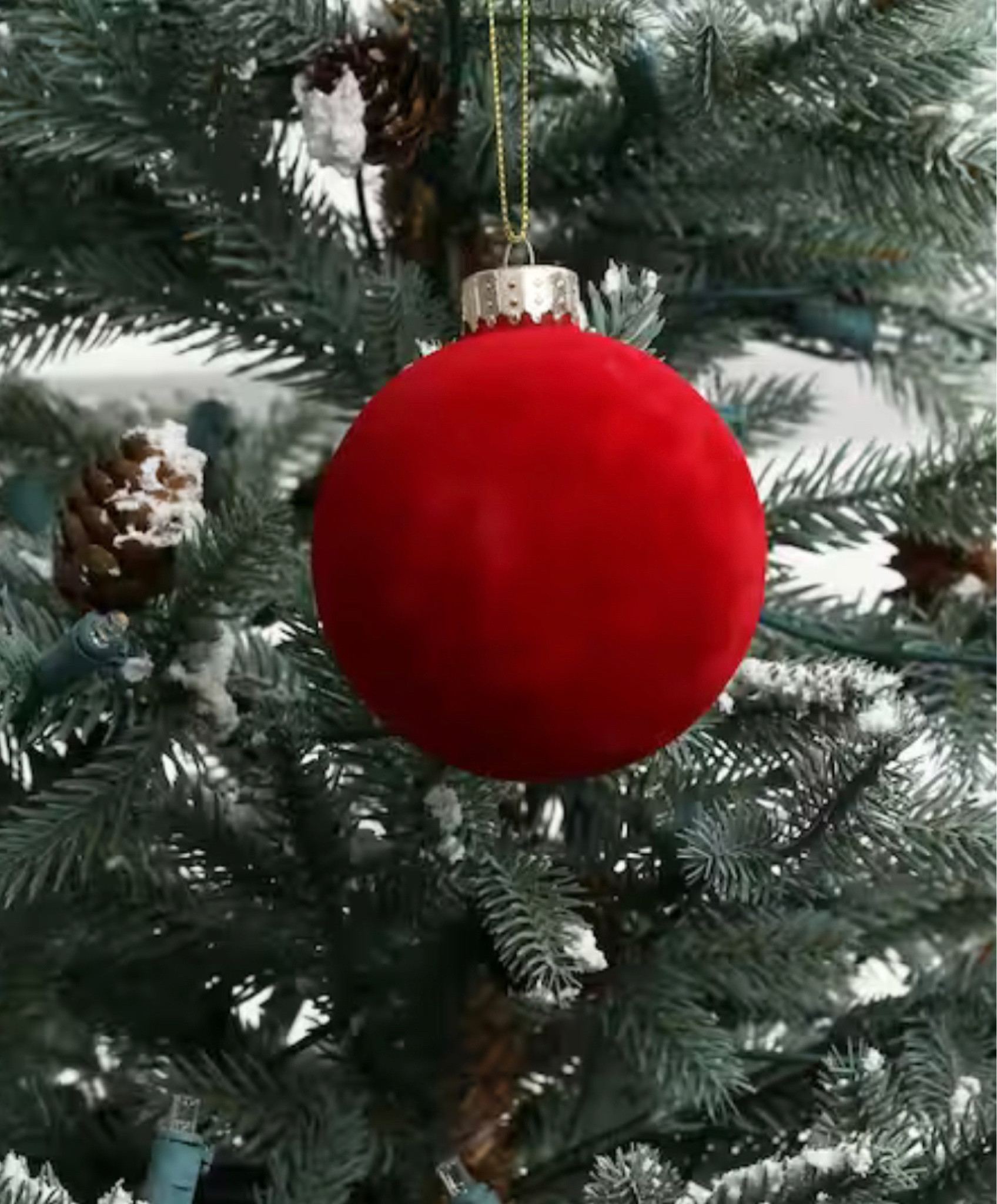 Viral velvet ornaments are on sale! Christmas ornaments for Christmas decor




#LTKHolidaySale #LTKHoliday #LTKSeasonal