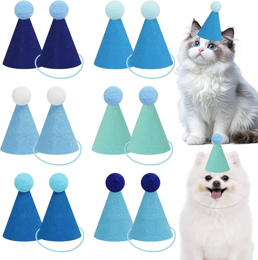 12pcs Blue Mini Party Hats for Stuffed Animals, Finished Birthday Party Cone Hats, Dolls Dog Cat ... | Amazon (US)