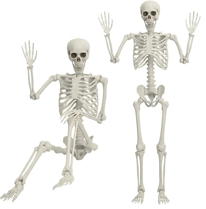 5.4FT Posable Halloween Life Size Skeleton, Full Body Realistic Bones with Movable Joints, Giant ... | Amazon (US)