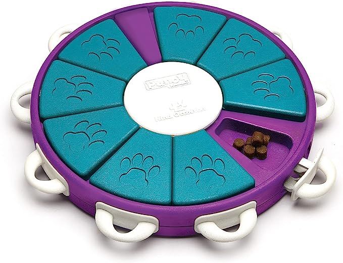 Outward Hound Nina Ottosson Dog Twister Interactive Treat Puzzle Dog Toy, Advanced | Amazon (US)