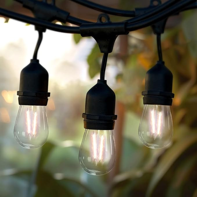 Brightech Ambience Pro - Waterproof LED Outdoor String Lights - Hanging, Dimmable 2W Vintage Edis... | Amazon (US)