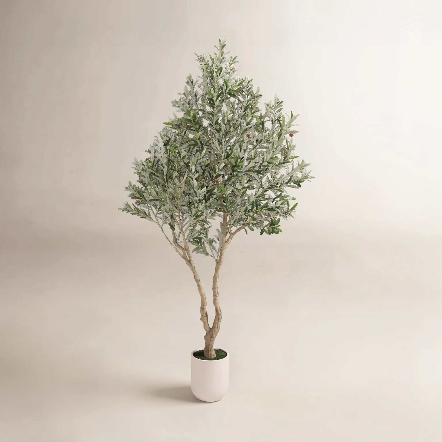 Birch Lane™ Ashwell  Artificial Olive Tree with White Pot  & Reviews | Wayfair | Wayfair North America
