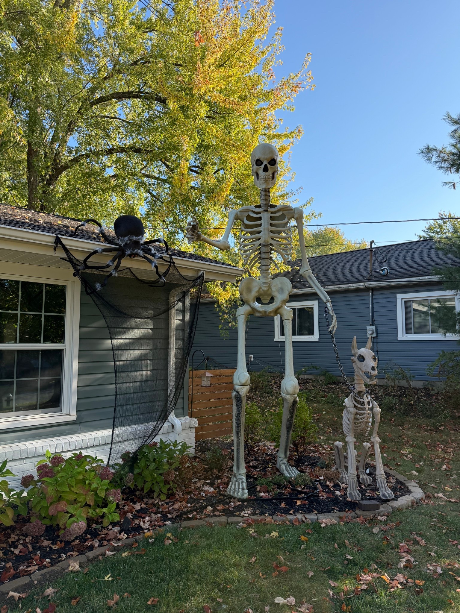 12ft skeleton and skeleton doggy! 💀💀🐕🦮 // also linked up the spiderweb and giant spider!! 

Walmart, Home Depot Halloween, Halloween display, Halloween decor 

#LTKHalloween #LTKHome #LTKSeasonal