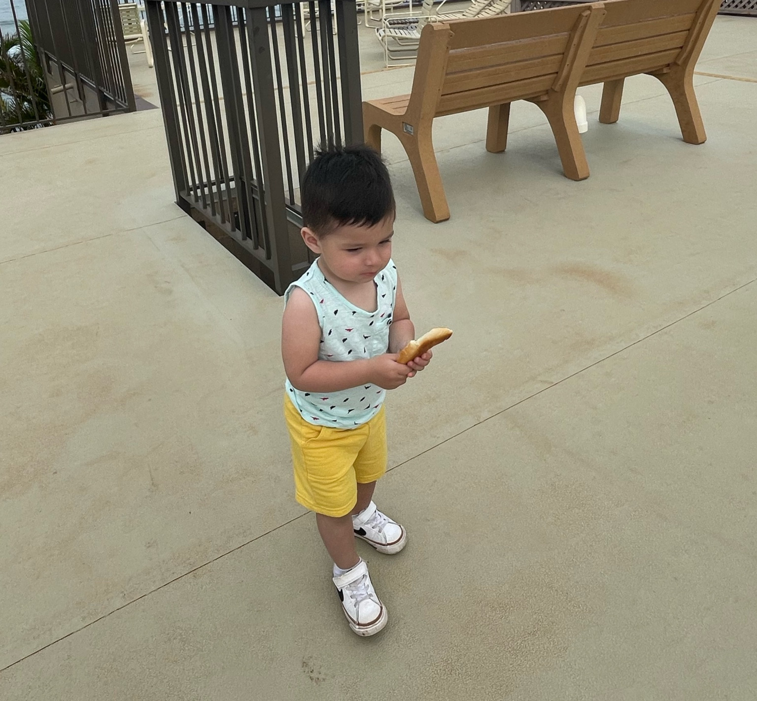 Have comfy shorts for boys and only $5! Comes in multiple colors. Tts 2T

#LTKkids #LTKfamily #LTKbaby