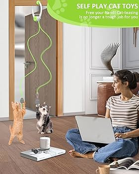 Cat Toy Interactive for Indoor Cats, Smart USB Rechargeable Door Hanging Automatic Retractable Ki... | Amazon (US)