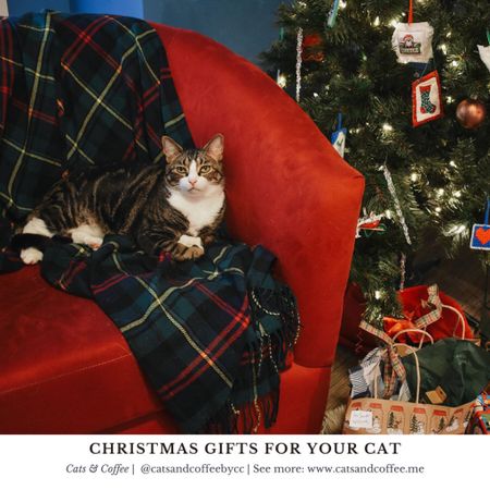 Christmas Gifts for Your Cat - When it comes to holiday shopping, don’t forget to pick up something special for your furbaby! Whether it is big or small, there are lots of great gifts for cats, including those that make your life easier. From aesthetic cat trees to self-cleaning litter boxes from Chewy, heated beds to garden fresh treats from Amazon, these are the top holiday gifts for your cat:

#LTKSeasonal #LTKhome #LTKGiftGuide