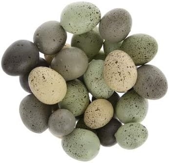 New Set/Lot of 30 - 1.25" & 1" Small Natural Bird Spring Nest Speckled Eggs | Amazon (US)