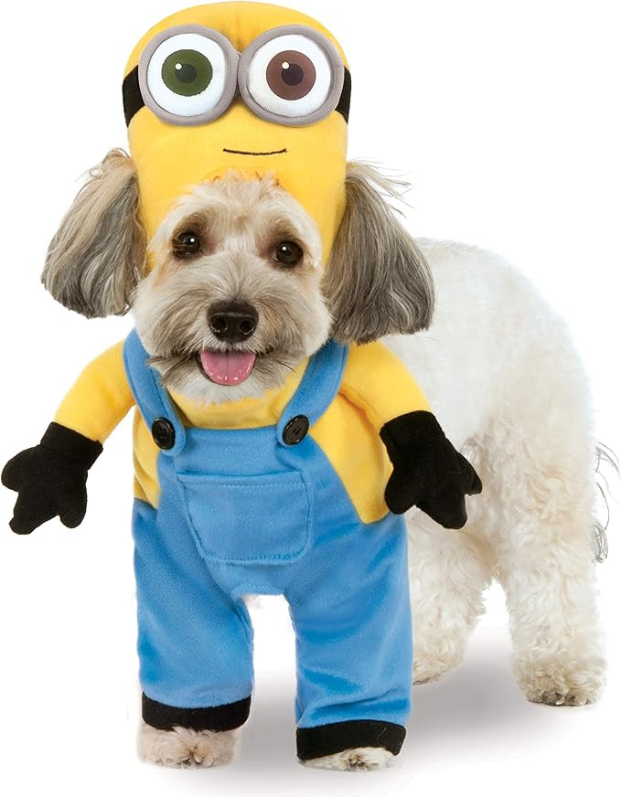 Minion Bob Arms Pet Suit, X-Large | Amazon (US)