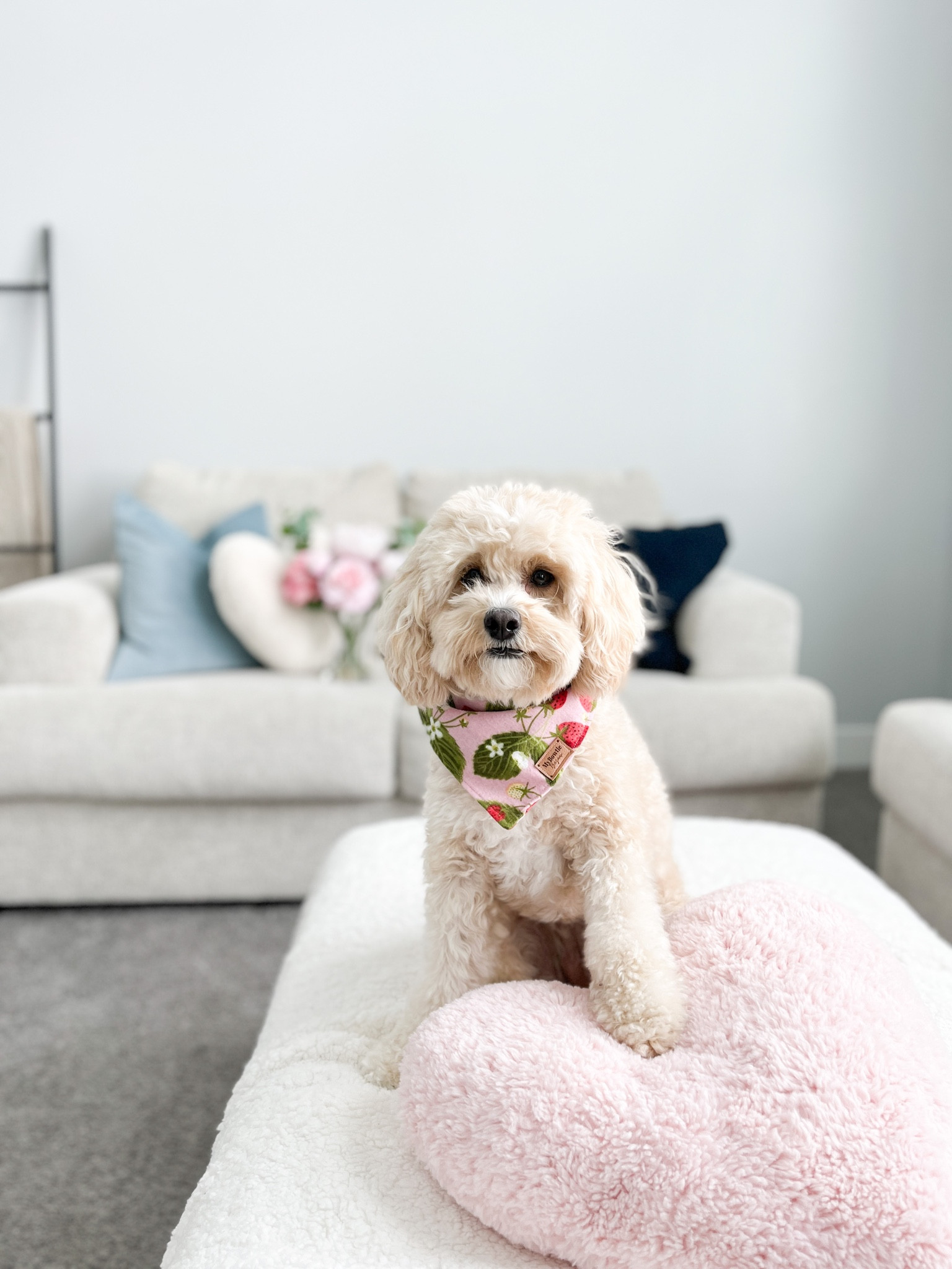 Valentines home decor 

#ltkfind #competition

#LTKSeasonal #LTKGiftGuide #LTKFind