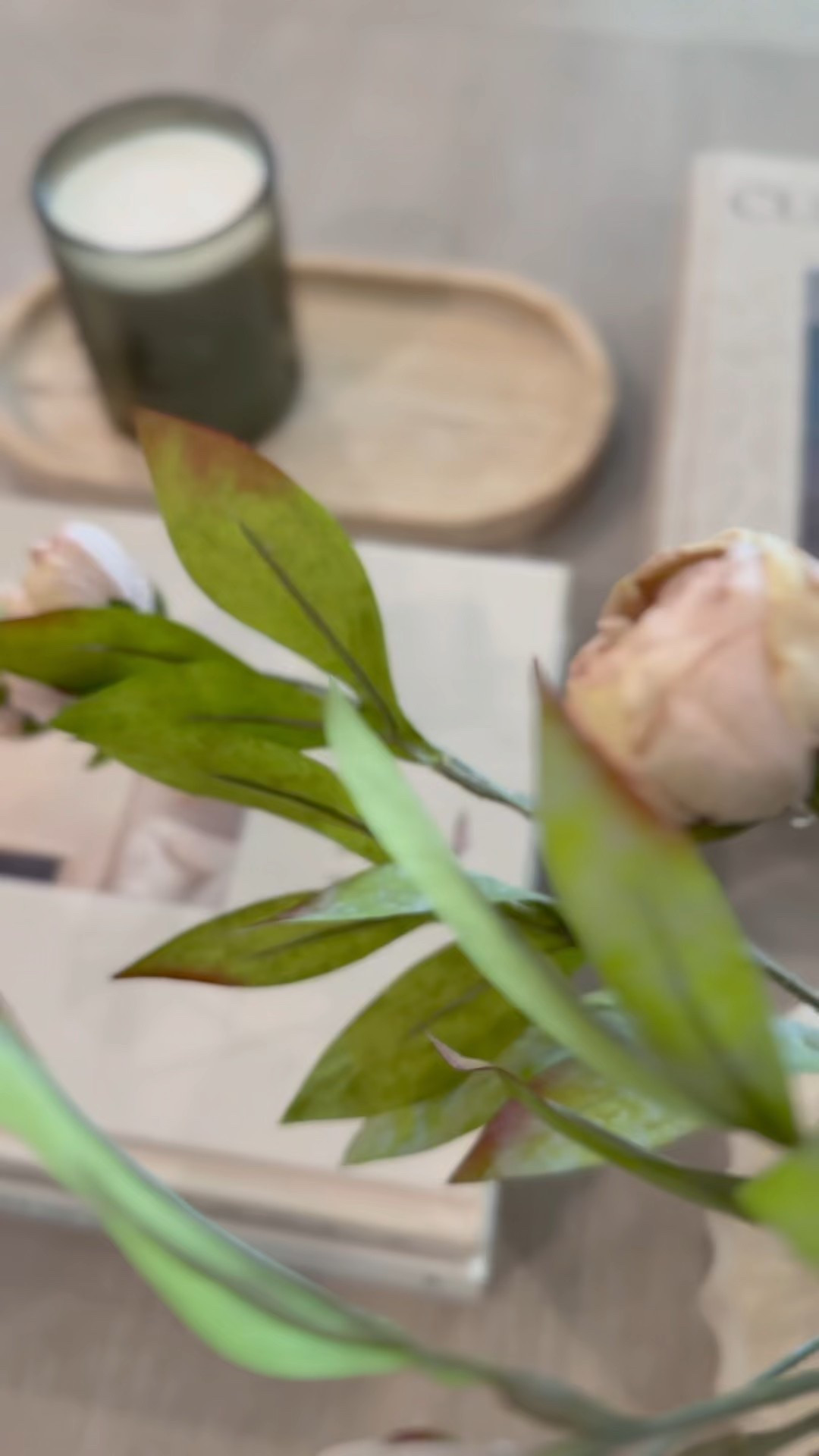 These are the most gorgeous stems! 




#springflowers #floralstems #springdecor #homedecor #coffeetablestyling #michaels 

#LTKSeasonal #LTKHome