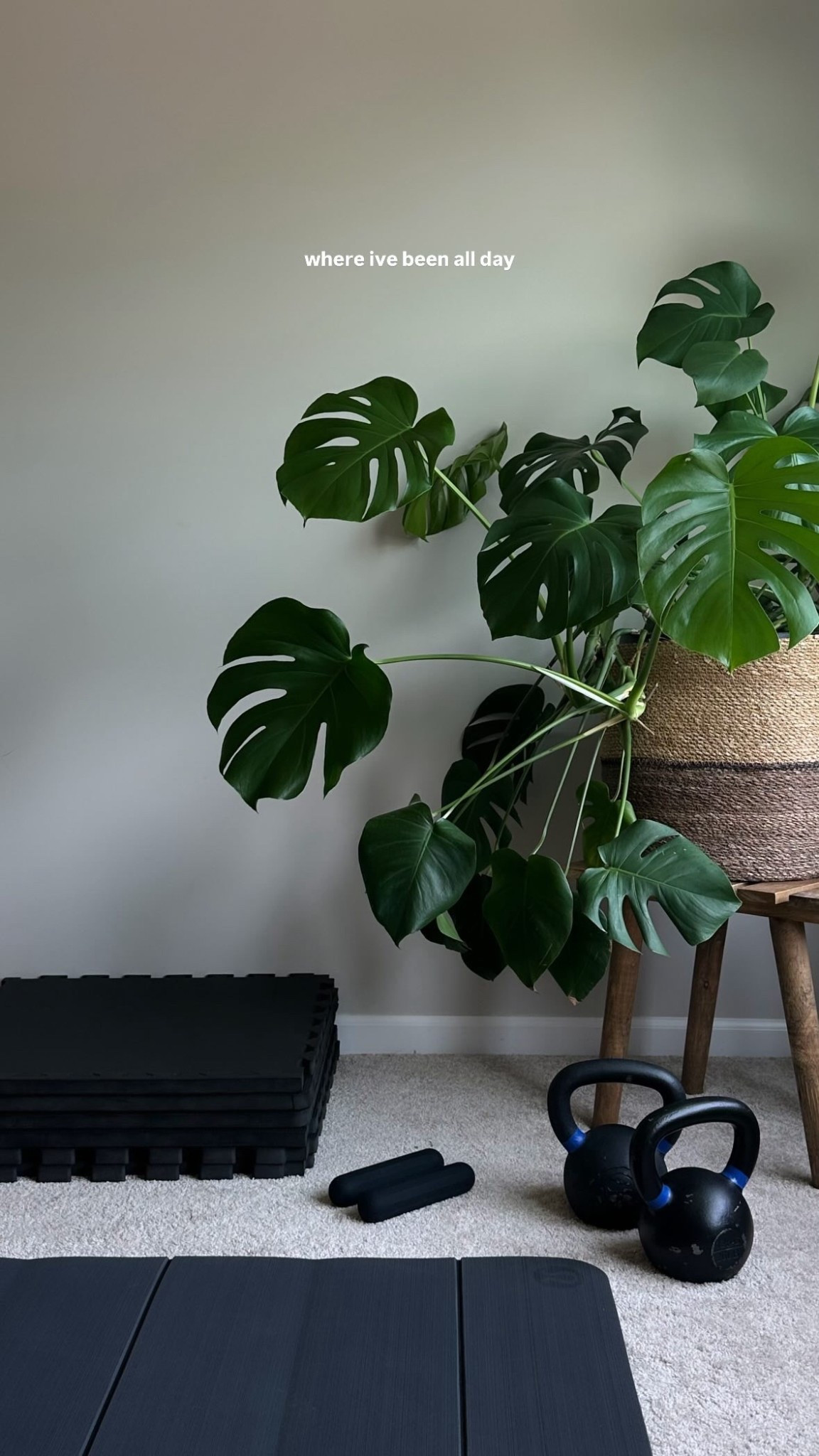 favorite gym things!! 

kettlebell weights
mini hand weights 
foldable mat
cushioned flooring 
Bands
Pilates ball


Amazon lululemon gymreapers lifting workout gym at home 

#LTKActive #LTKFindsUnder100 #LTKFindsUnder50