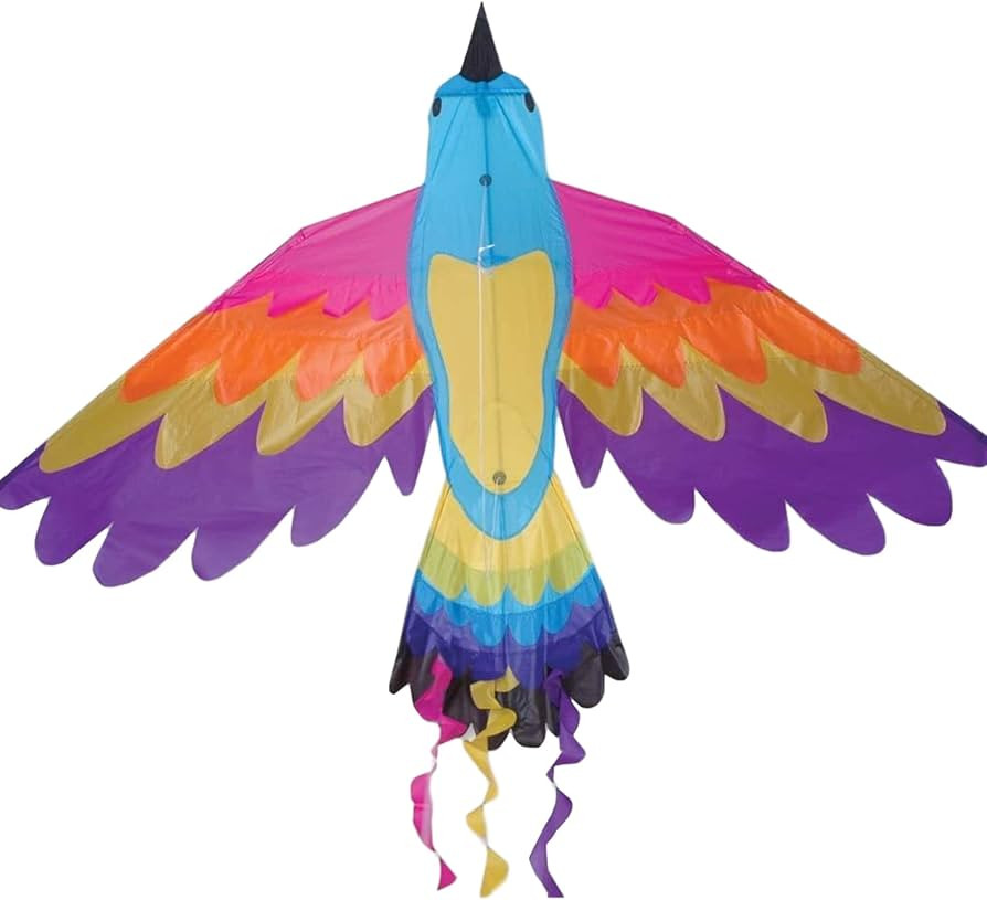 Premier Kites Paradise Bird Kite are Great Kites for Adults and Easy to Fly Kites for Kids | A La... | Amazon (US)