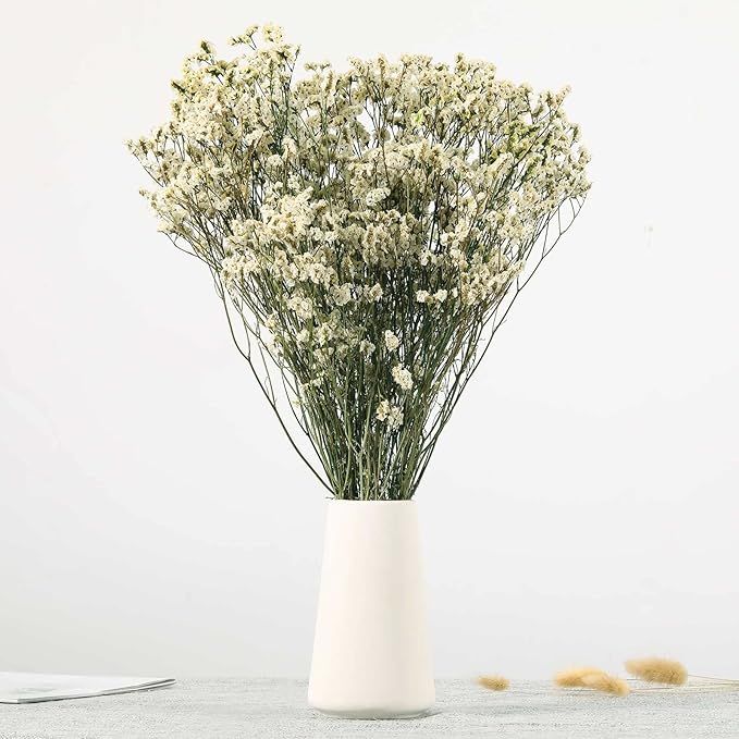 Dried Flowers Babys Breath Bouquet, Natural White Dry Flowers – 17'' 1800+ Ivory Flowers, Prese... | Amazon (US)