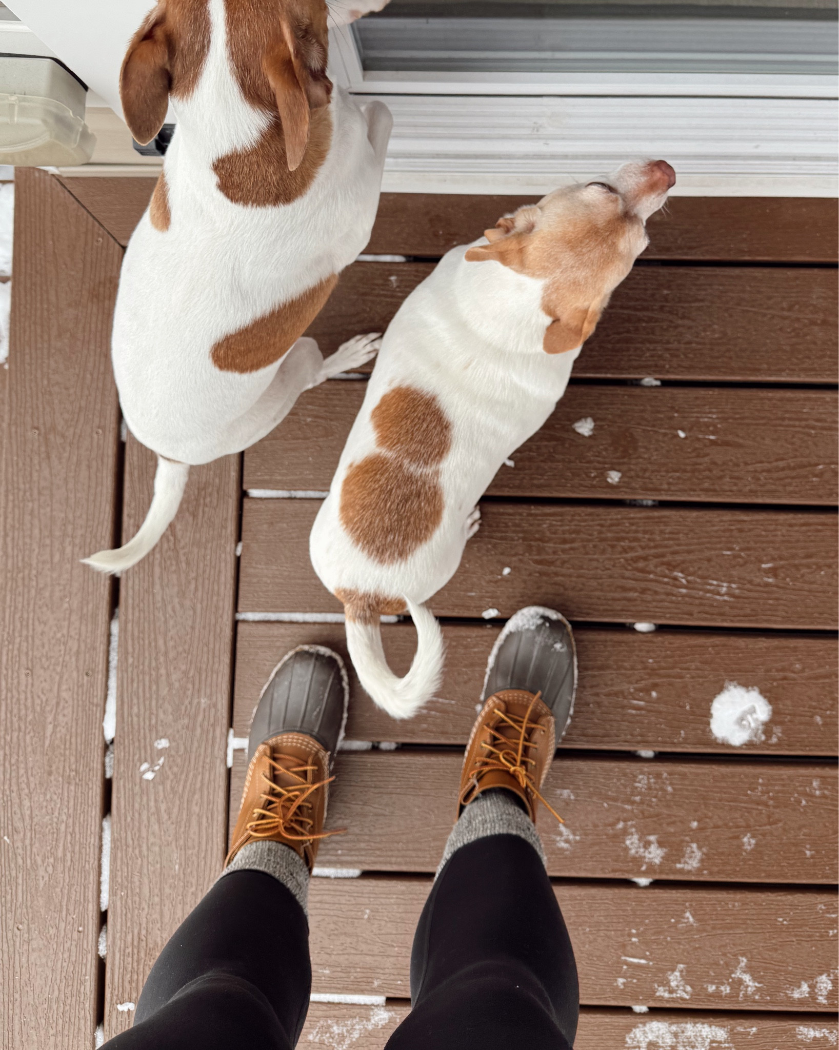 The best investment for east coast winters - I’ve had my bean boots for over 10 years & they are still perfect. So warm & durable. And most importantly cute 😌🥾 

#LTKSeasonal #LTKMidsize #LTKootd