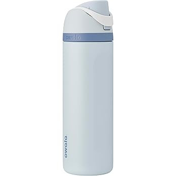 Owala Disney Princess FreeSip Insulated Stainless Steel Water Bottle with Straw for Sports and Tr... | Amazon (US)