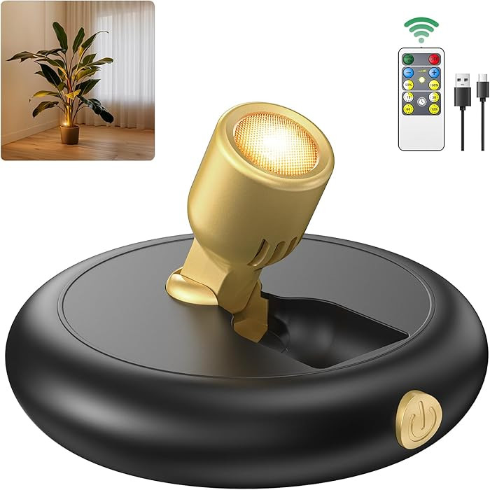 Rechargeable Battery LED Spotlight Indoor: Wireless Mini Art Accent Spot Lights with Timer Remote... | Amazon (US)