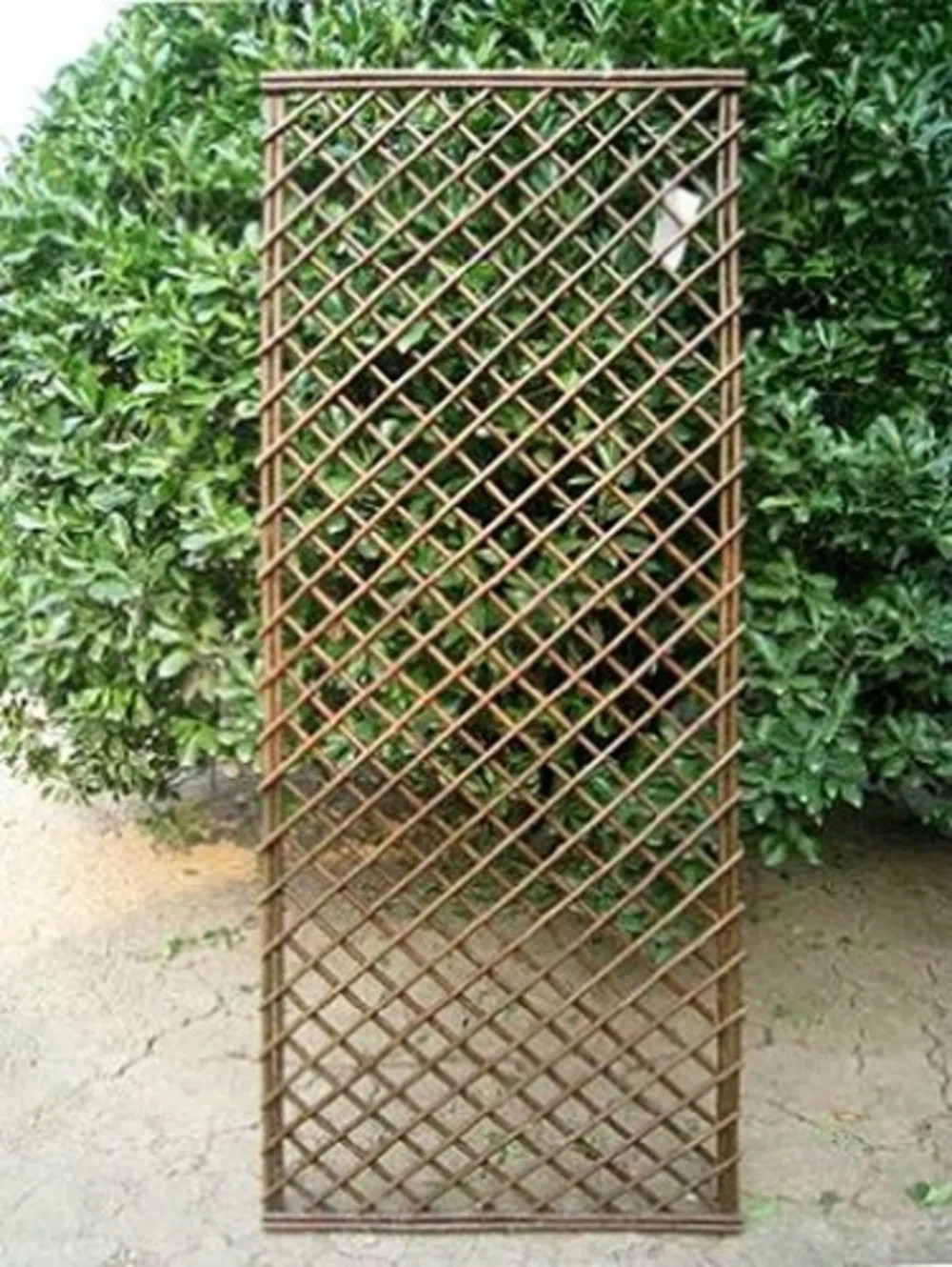 72'' H x 24'' W Wood Lattice Panel Trellis | Wayfair North America