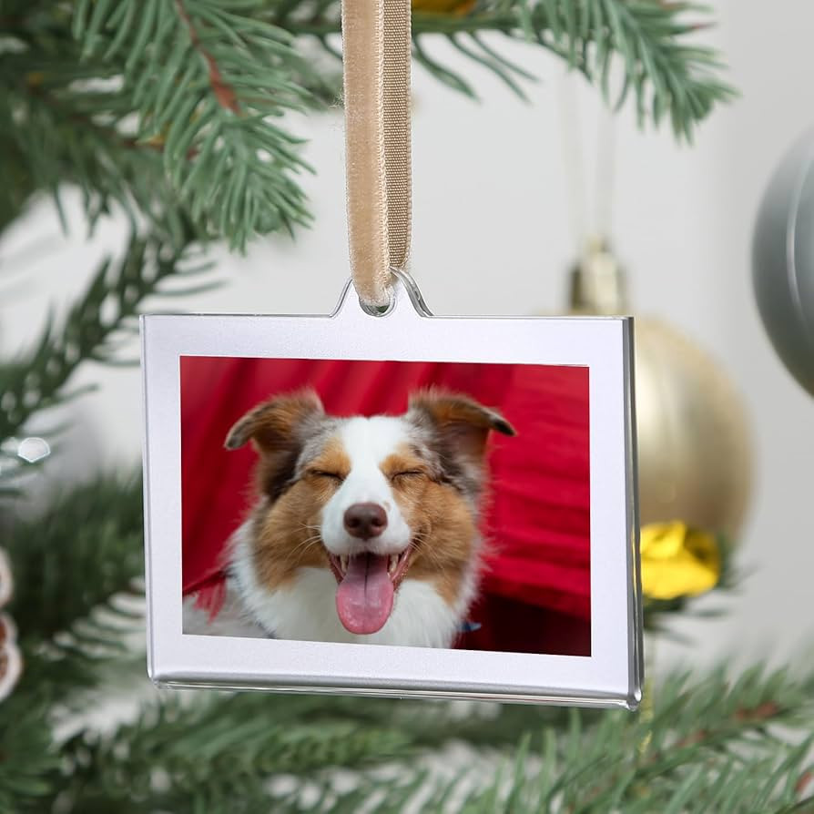 UNIQOOO 8 Set Christmas Acrylic Rectangle Photo Ornaments for Display Picture, 3"x 2" Acrylic Han... | Amazon (CA)