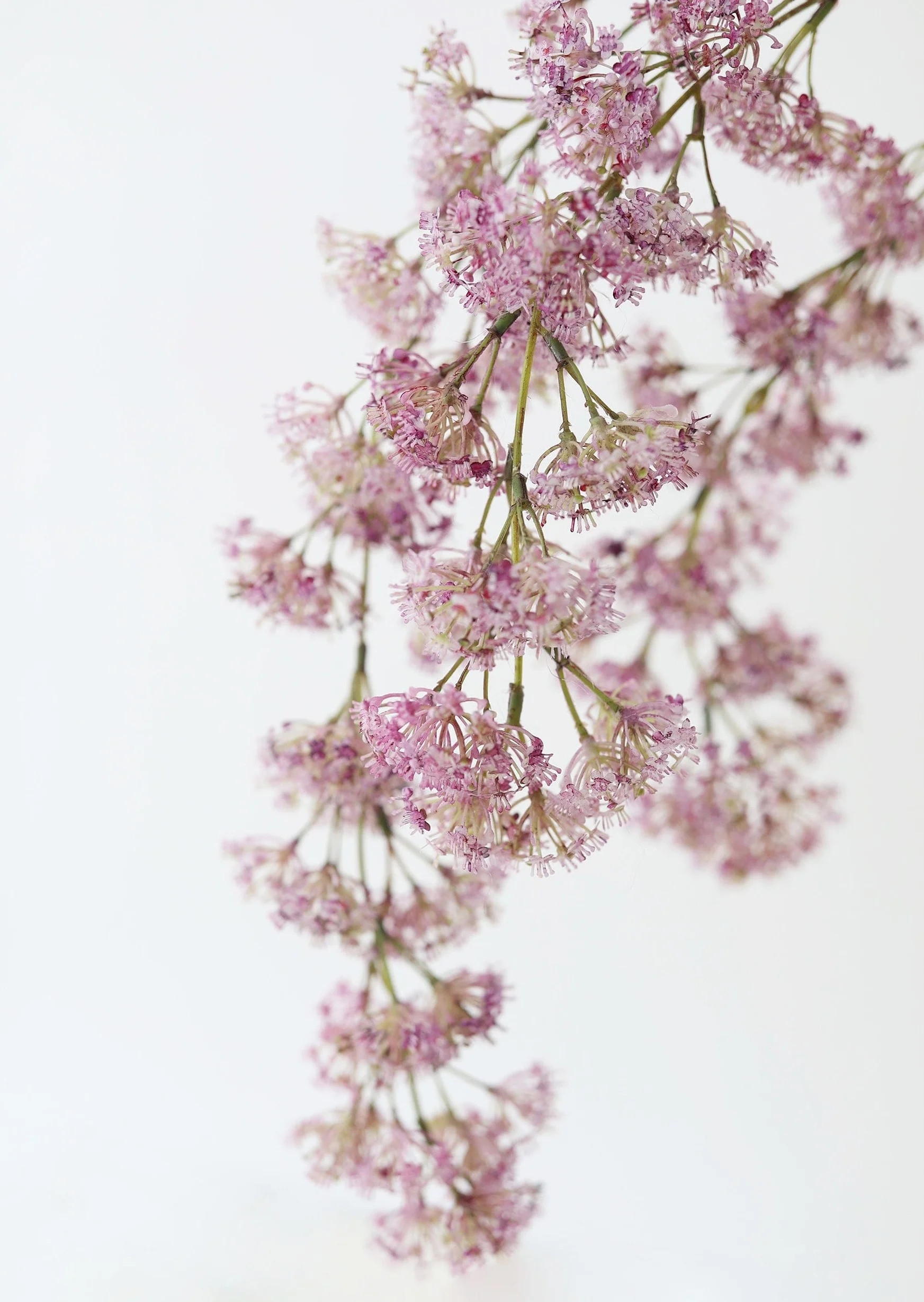 Purple Pink Laurel Hanging Flower Branch - 30" | Afloral