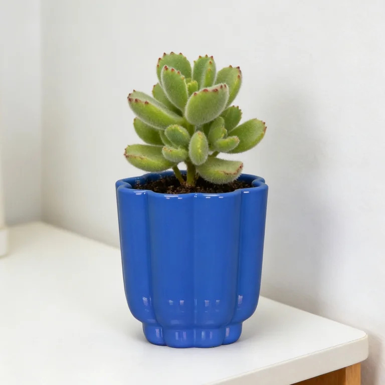 Mainstays Arlo 4" x 4" x 4" Round Royal Blue 100% Recycled Resin Planter | Walmart (US)