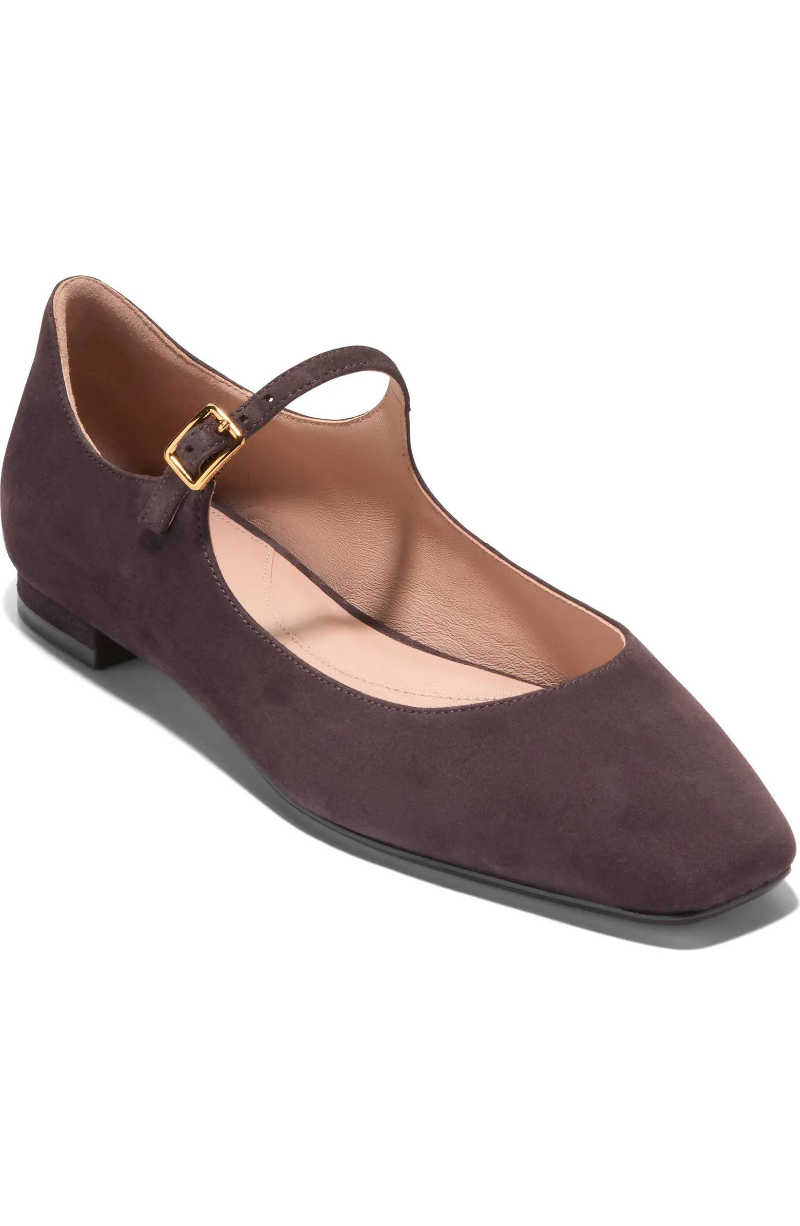 Cole Haan Bridge Mary Jane Ballet Flat (Women) | Nordstrom | Nordstrom